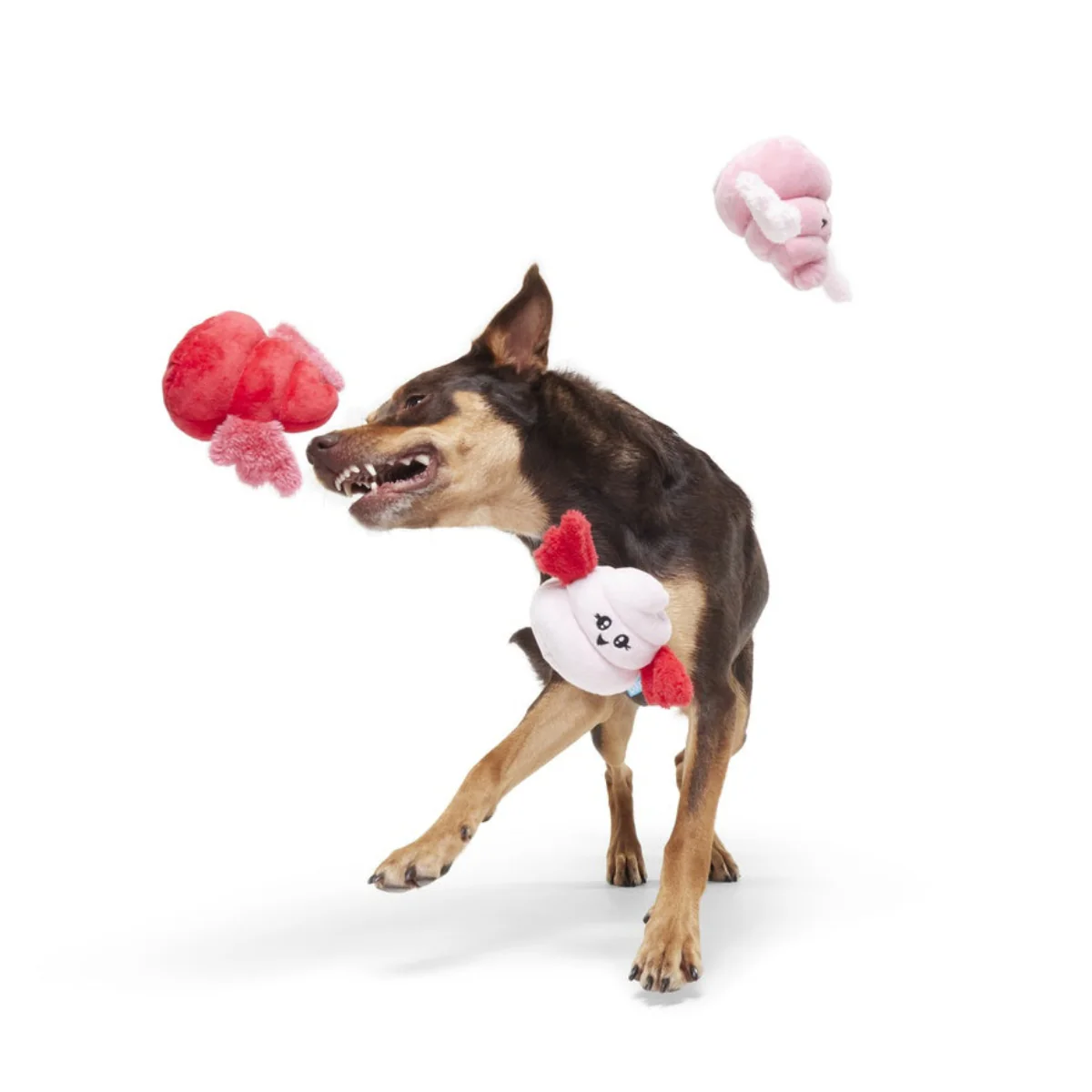 Poopids Plush Multi-Part Dog Toy - Image 4