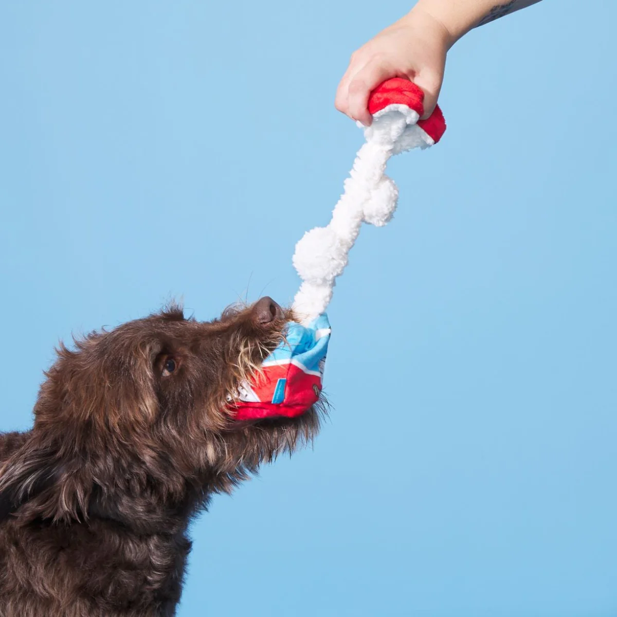 Poopies N' Cream Plush Tug + Enrichment Dog Toy - Image 3