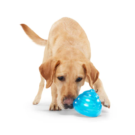 Poopsicle Super Chewer Durable Fetch + Enrichment Dog Toy - Image 3