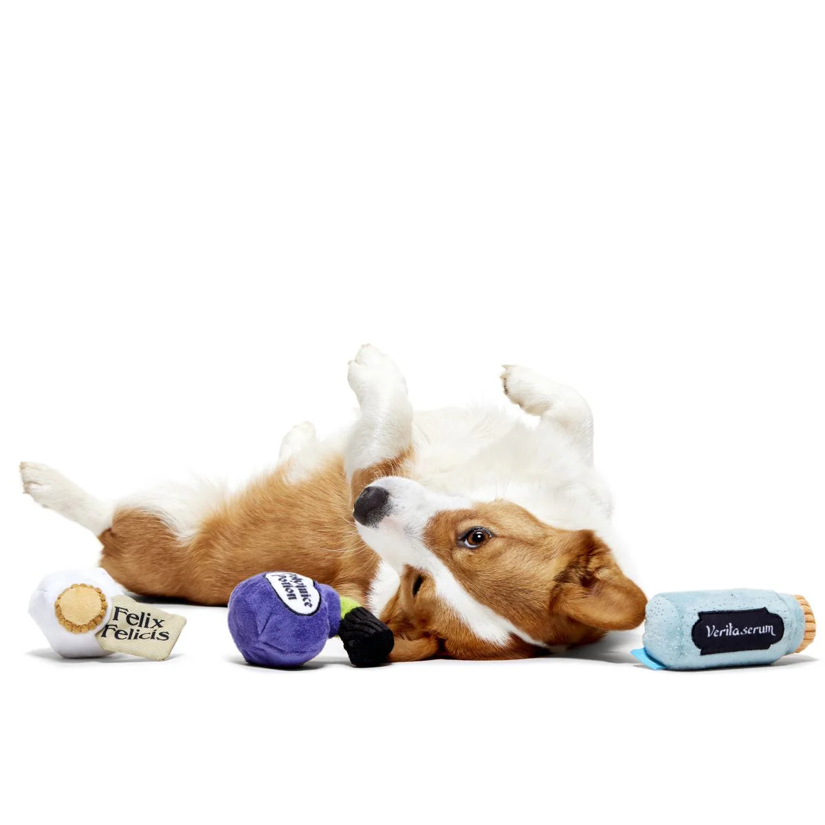 Potions Class Pack™ Plush Multi-Part Dog Toy - Image 2