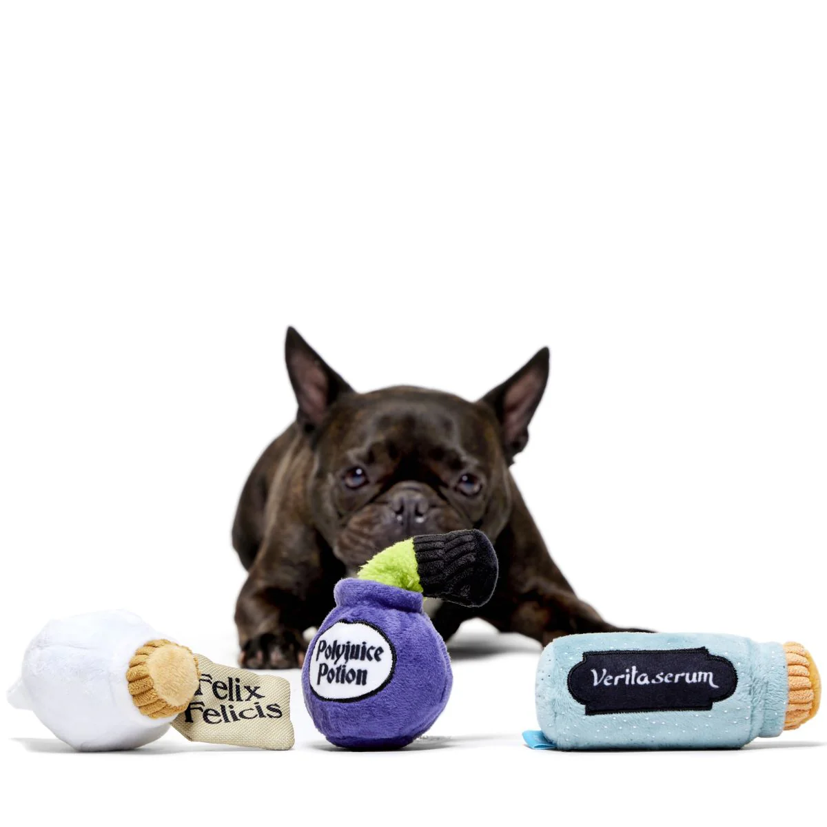 Potions Class Pack™ Plush Multi-Part Dog Toy - Image 3