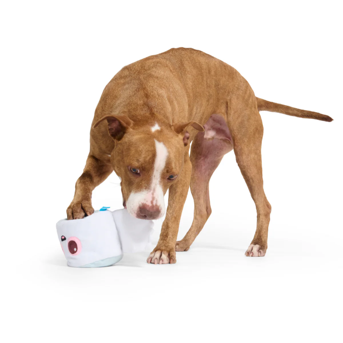 Pottymouth Pete Plush 2-in-1 Rip and Reveal Dog Toy - Image 4