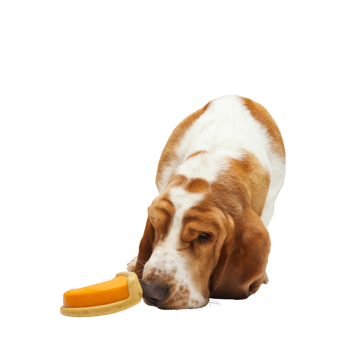 Powered Up Pie Durable Super Chewer Gnaw Dog Toy - Image 2