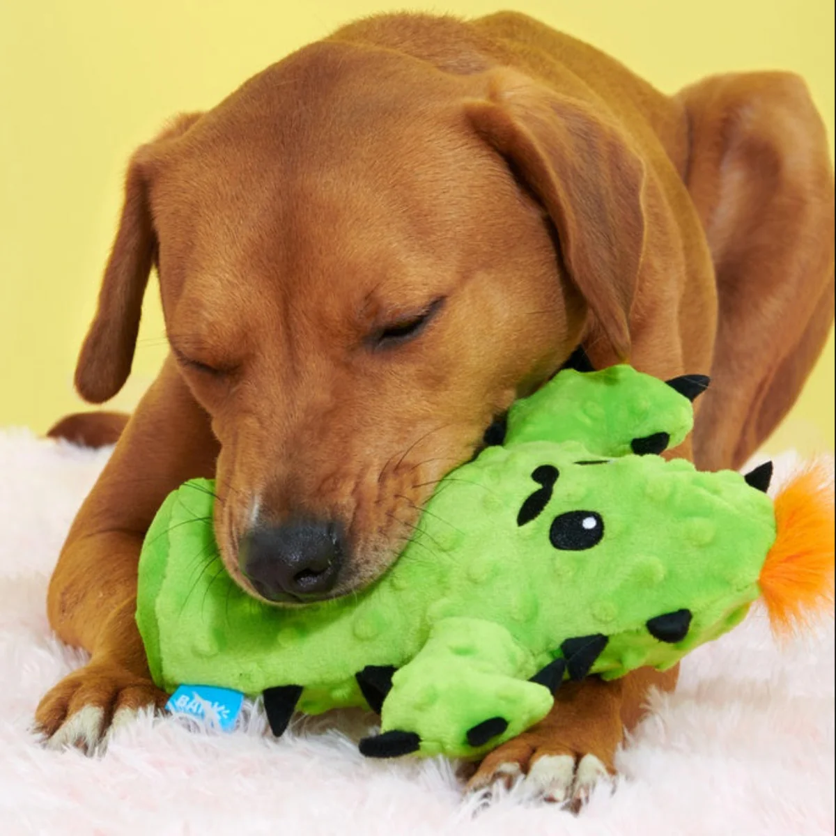 Prickly Pete Plush 2-in-1 Tug Dog Toy - Image 3