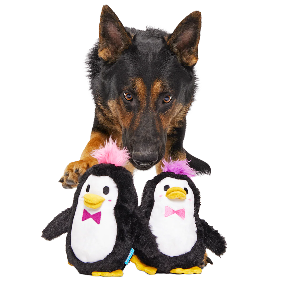 Pride March of the Penguins Plush Multi-Part Dog Toy - Image 4