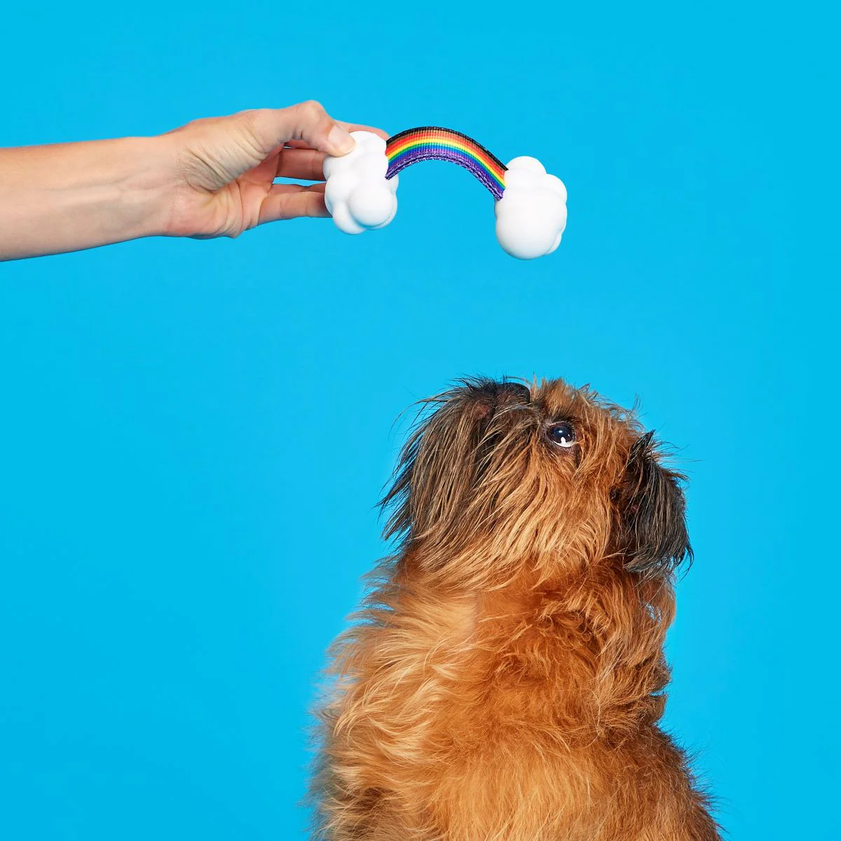 Proud Pup Rainbow Super Chewer Durable Tug Dog Toy - Image 3
