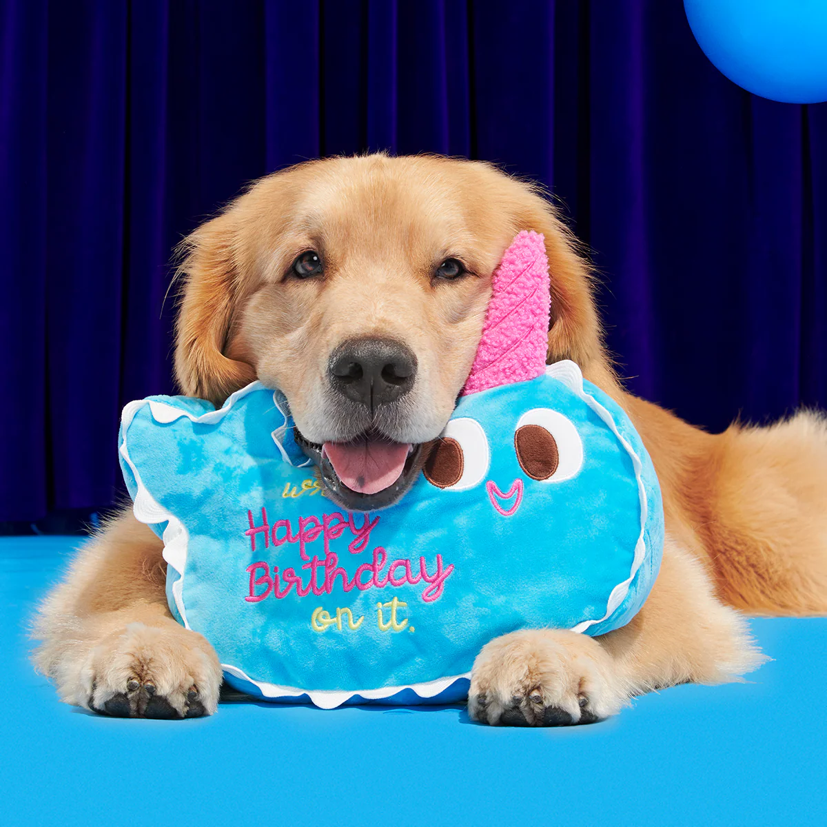 Pudgy the Narwhal Cake Plush Extra-Large Dog Toy - Image 3