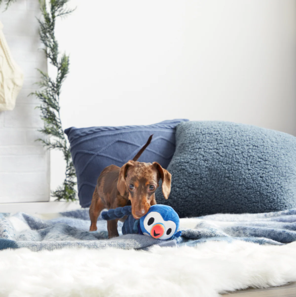 Puffer Puffin Plush Multi-Part + Enrichment Dog Toy - Image 2