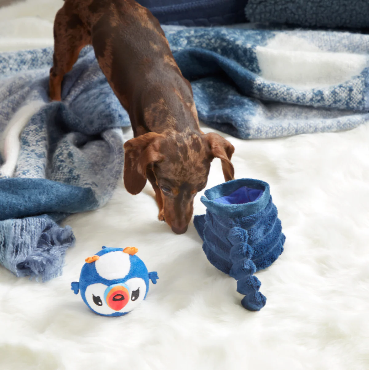 Puffer Puffin Plush Multi-Part + Enrichment Dog Toy - Image 3