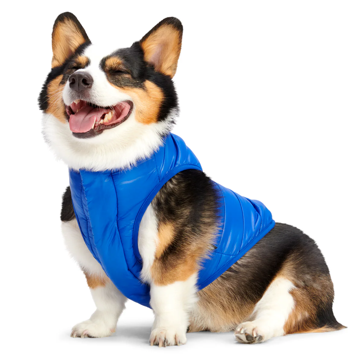Puffer Dog Vest - Image 5
