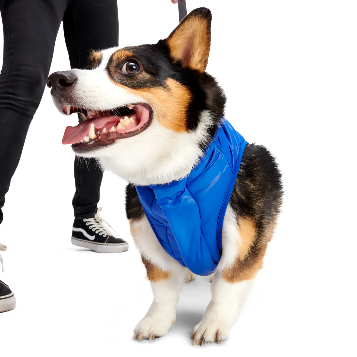 Puffer Dog Vest - Image 6