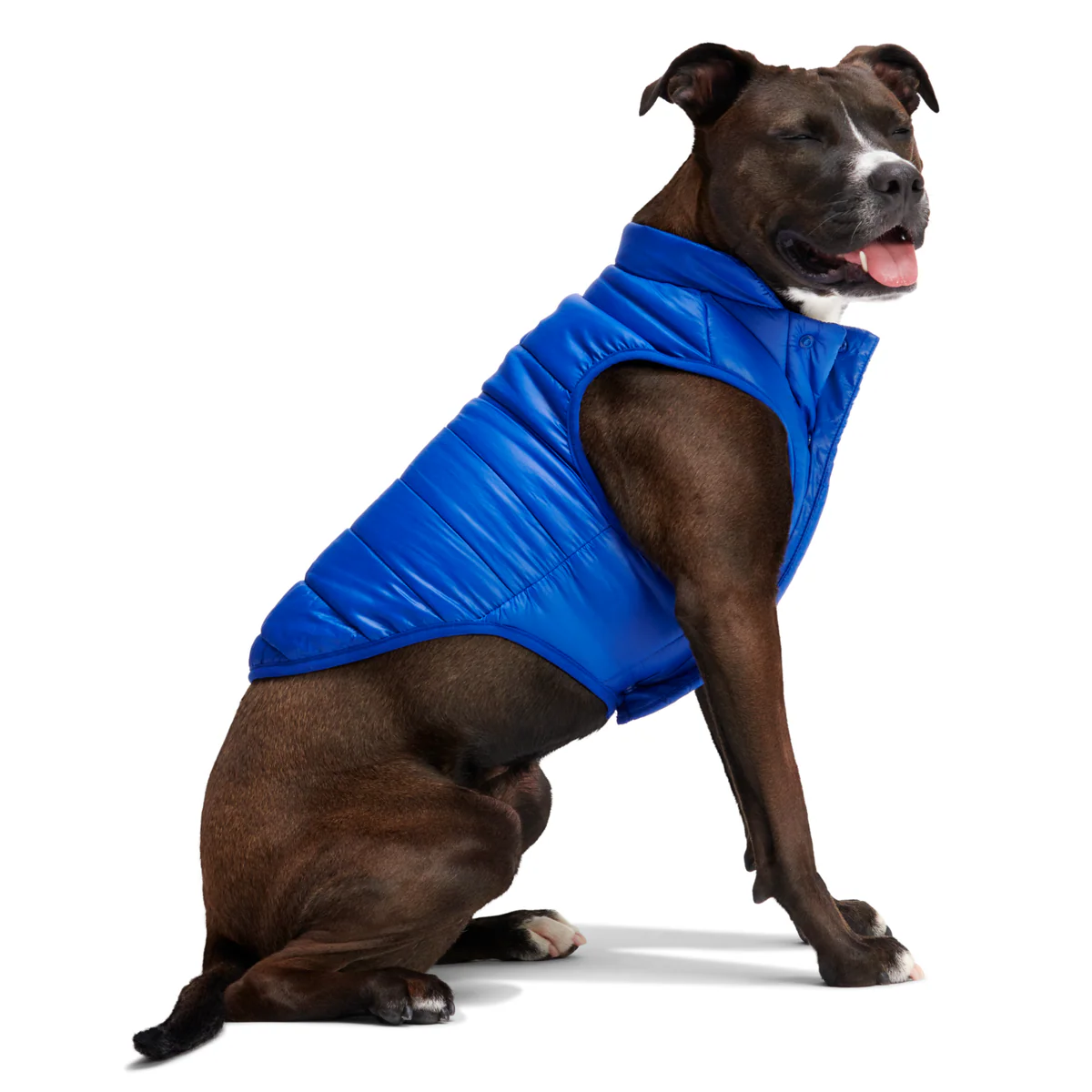 Puffer Dog Vest - Image 7