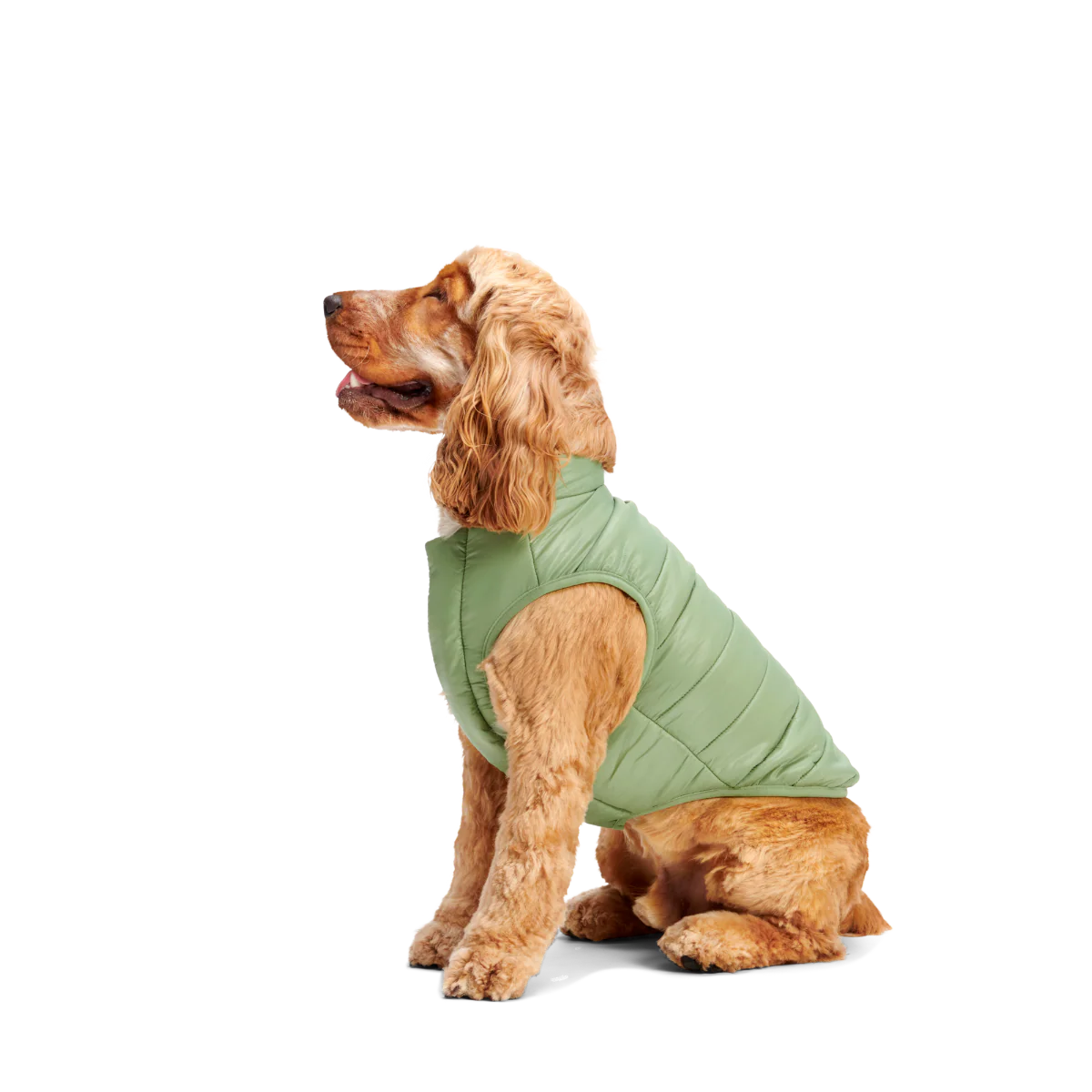 Puffer Dog Vest - Image 8