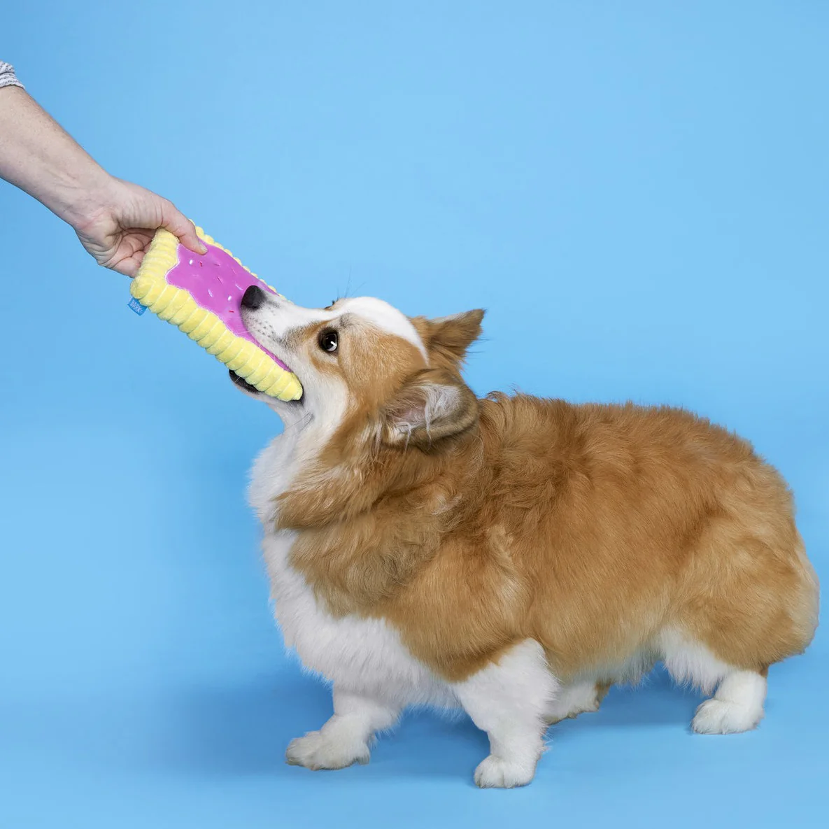 Pup Tart Plush Dog Toy - Image 3