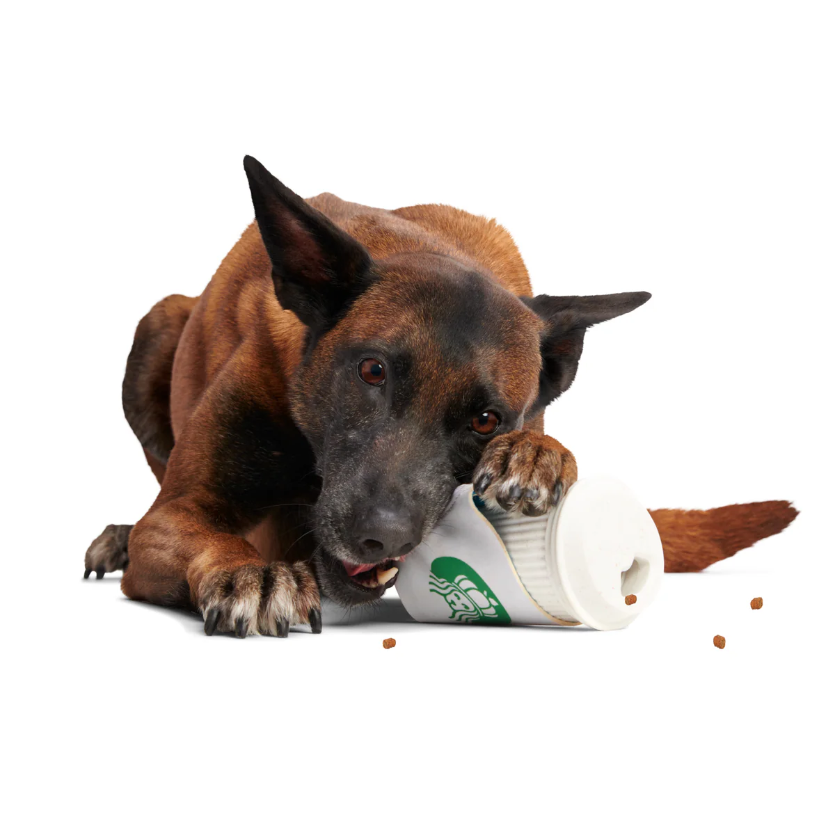 Pupkin Spice Yappuccino Durable Super Chewer 2-in-1 Rip and Reveal + Enrichment Dog Toy - Image 3