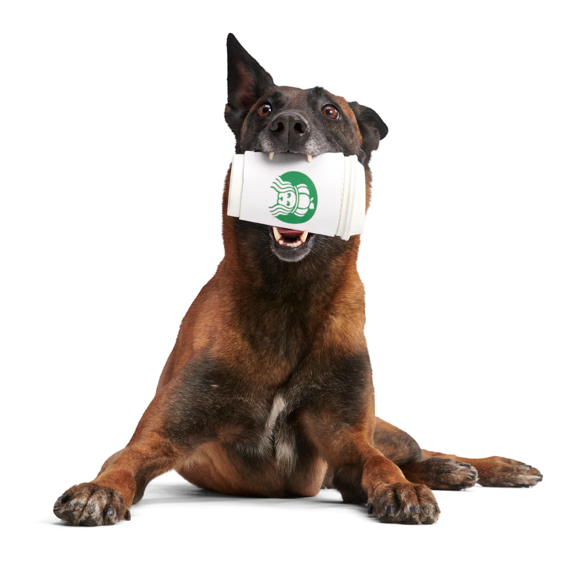Pupkin Spice Yappuccino Durable Super Chewer 2-in-1 Rip and Reveal + Enrichment Dog Toy - Image 4