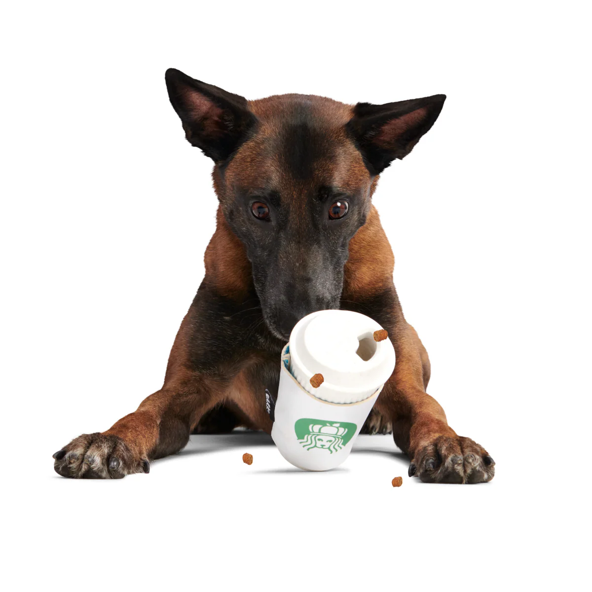 Pupkin Spice Yappuccino Durable Super Chewer 2-in-1 Rip and Reveal + Enrichment Dog Toy - Image 5