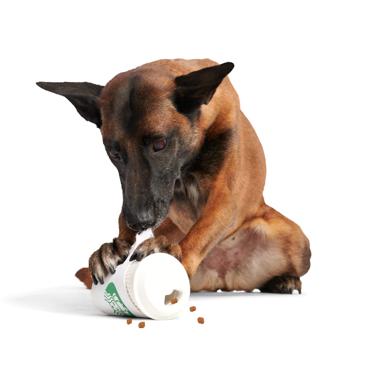 Pupkin Spice Yappuccino Durable Super Chewer 2-in-1 Rip and Reveal + Enrichment Dog Toy - Image 6