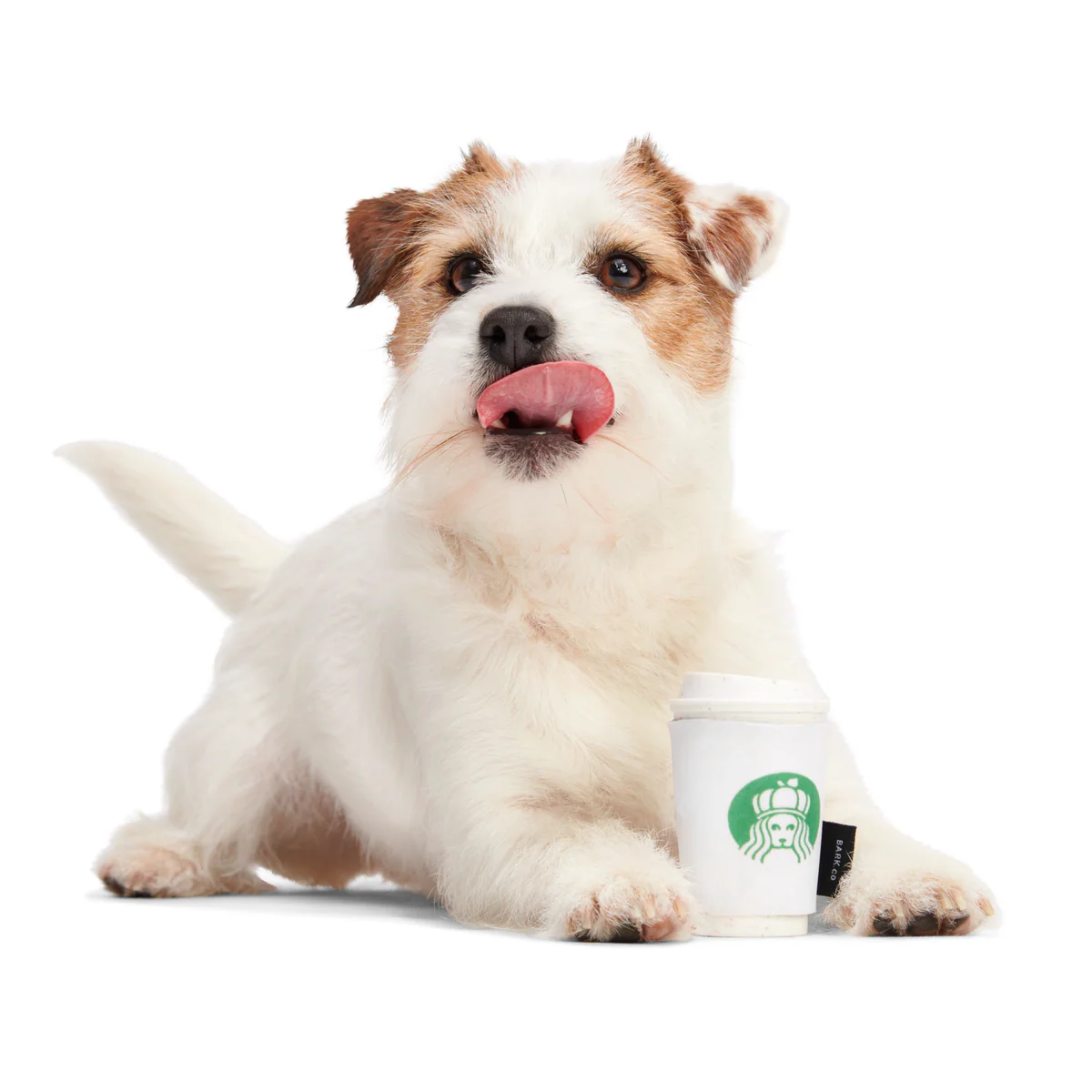 Pupkin Spice Yappuccino Durable Super Chewer 2-in-1 Rip and Reveal + Enrichment Dog Toy - Image 7