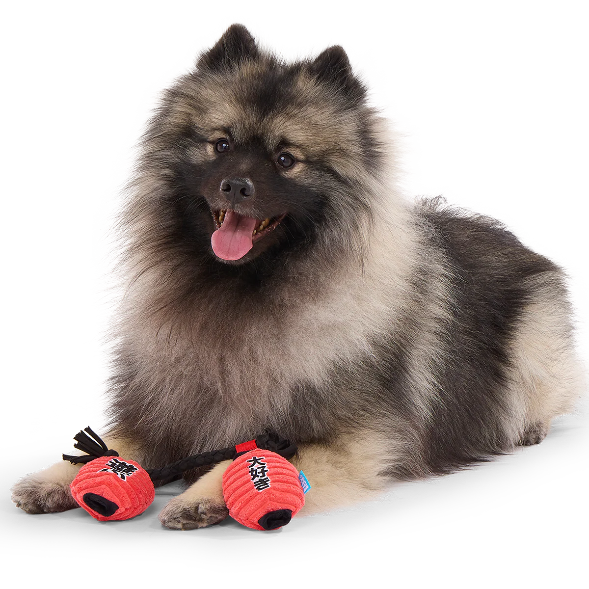 Pupper Lanterns Plush Tug Dog Toy - Image 2