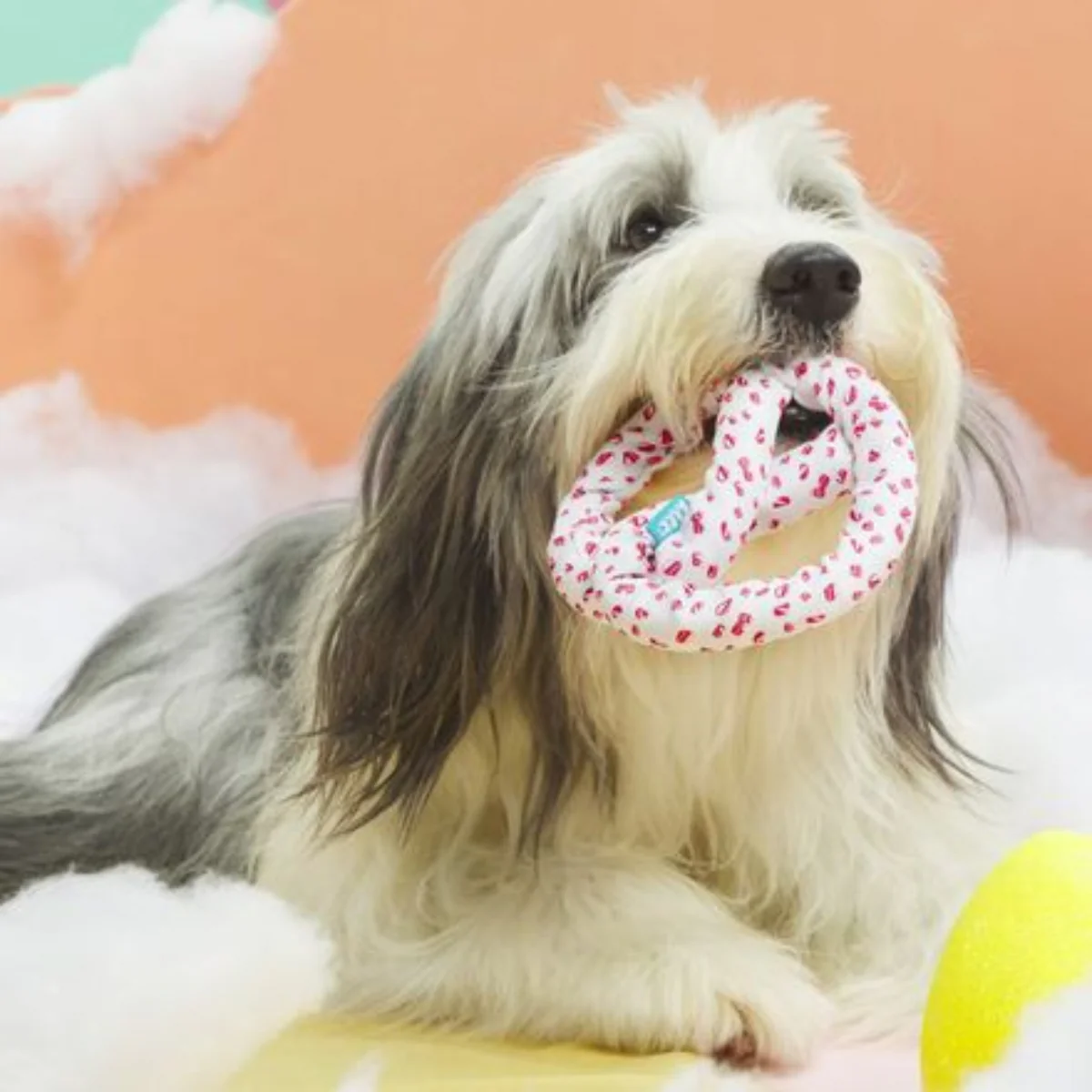 Puppermint Bark Pretzel Tug Dog Toy - Image 2