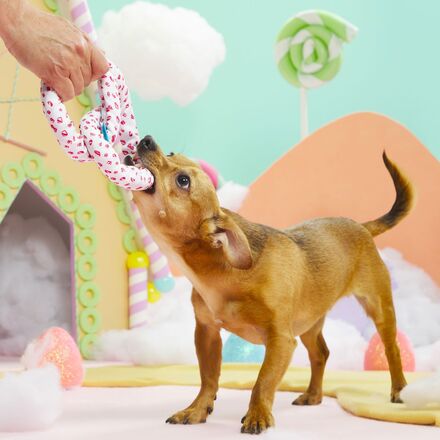 Puppermint Bark Pretzel Tug Dog Toy - Image 3