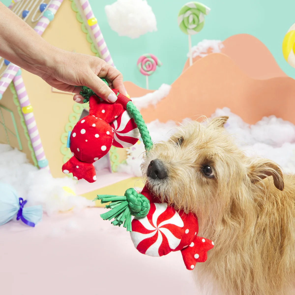 Puppermint Sweeties Plush Tug Dog Toy - Image 2
