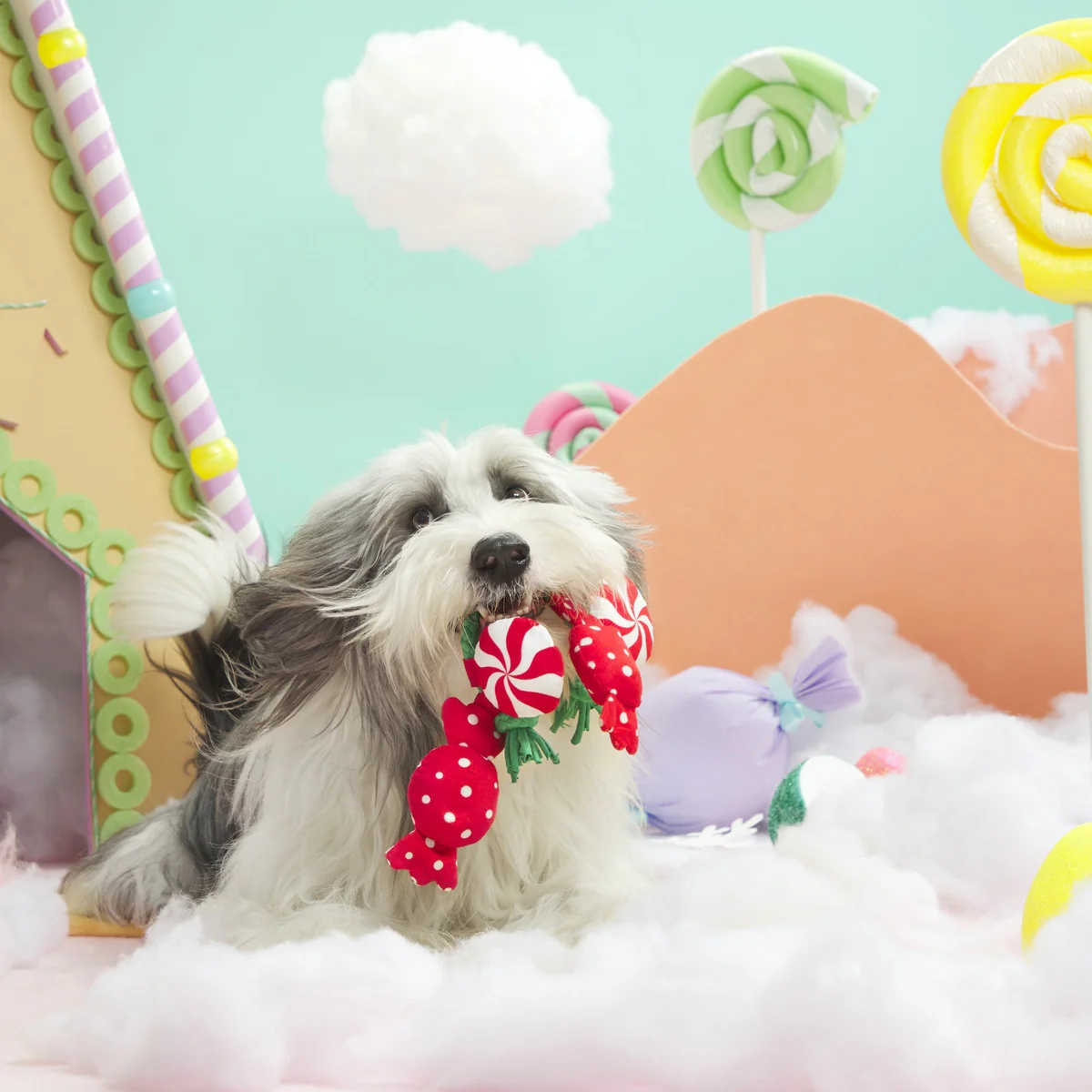 Puppermint Sweeties Plush Tug Dog Toy - Image 3