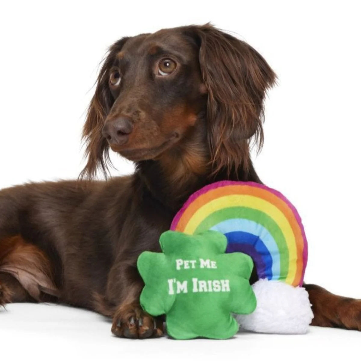 Puppy Charms Plush Multi-Part Dog Toy - Image 3
