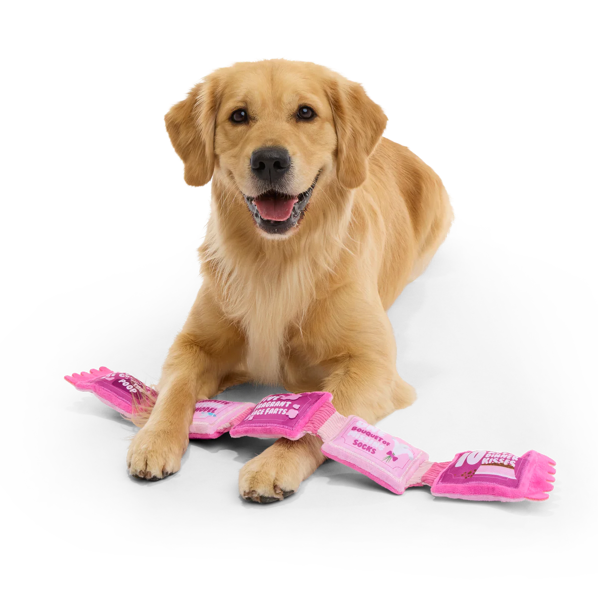 Puppy Love Coupons Plush Tug Dog Toy - Image 2