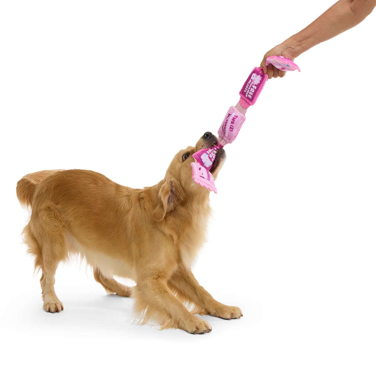 Puppy Love Coupons Plush Tug Dog Toy - Image 3