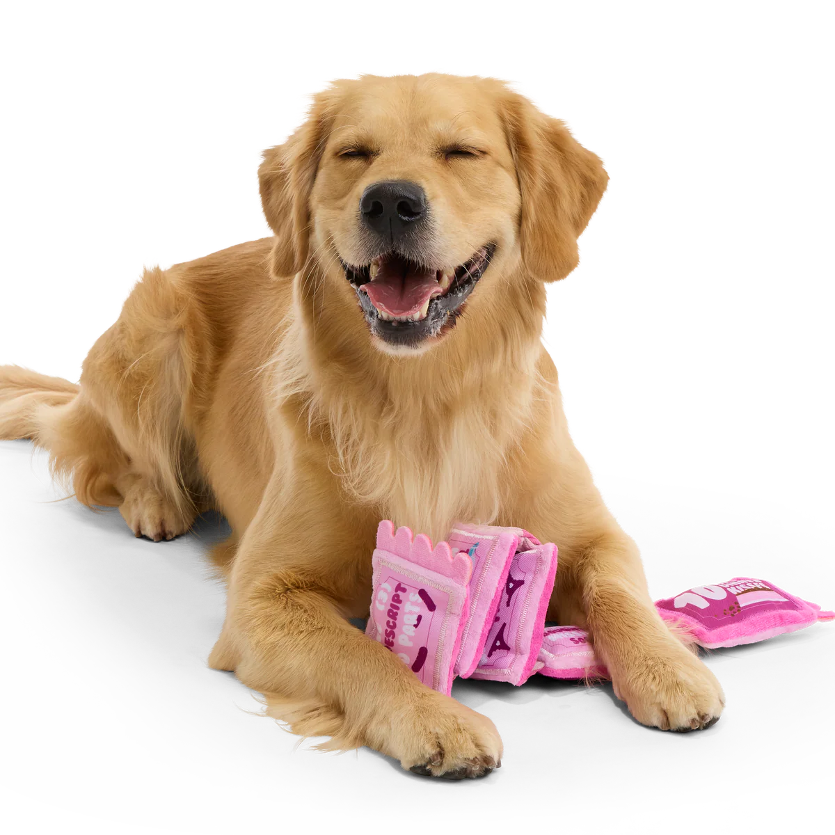 Puppy Love Coupons Plush Tug Dog Toy - Image 4