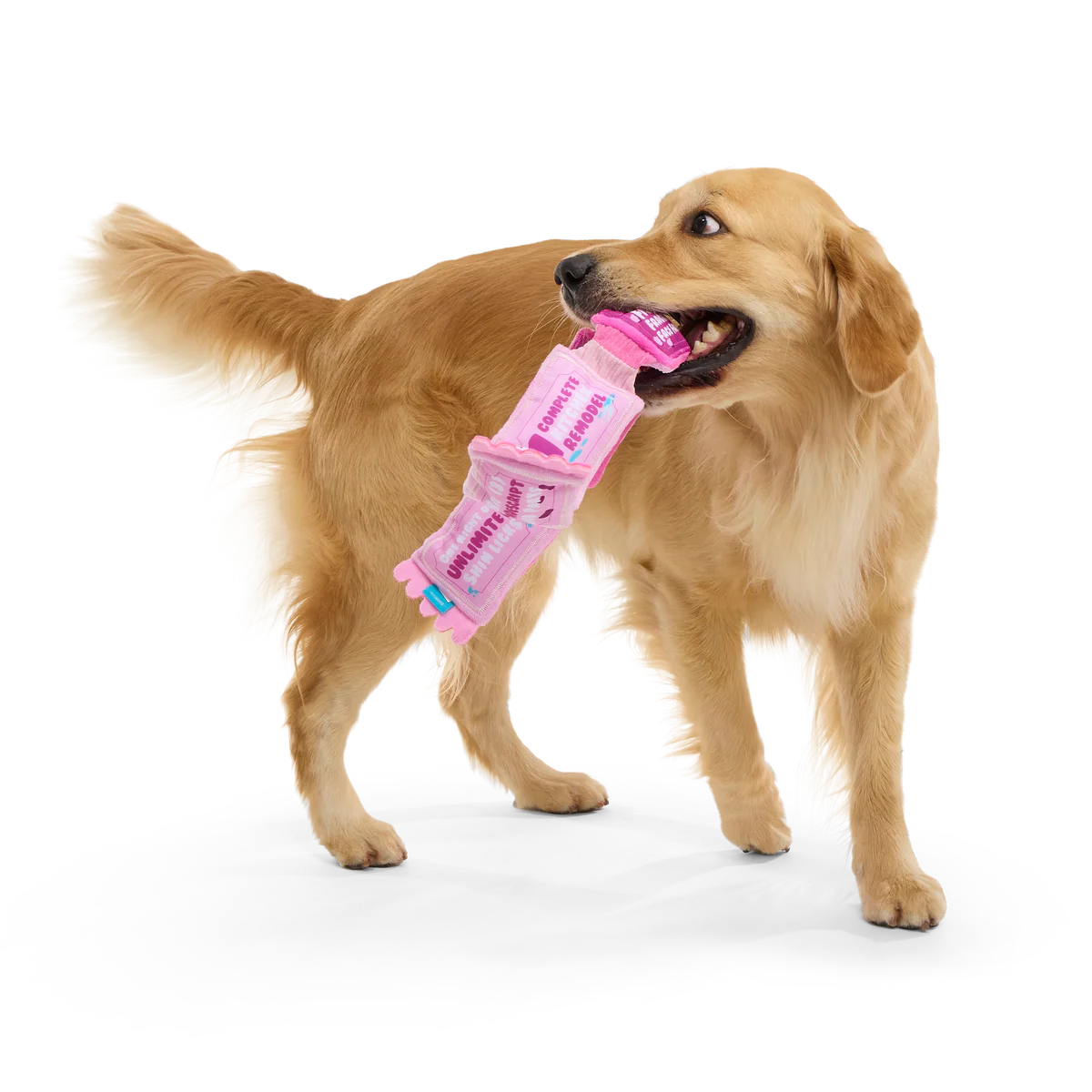 Puppy Love Coupons Plush Tug Dog Toy - Image 5