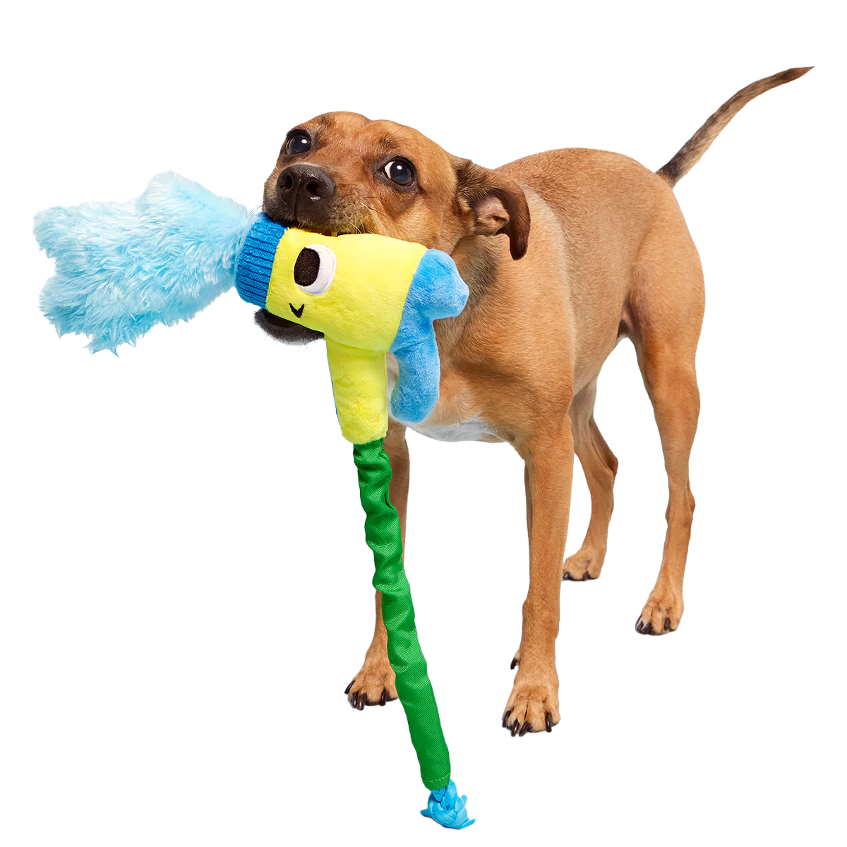 Puttin' on the Spritz Plush Tug Dog Toy - Image 3
