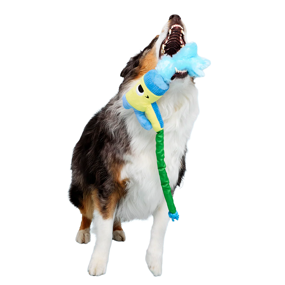 Puttin' on the Spritz Plush Tug Dog Toy - Image 4