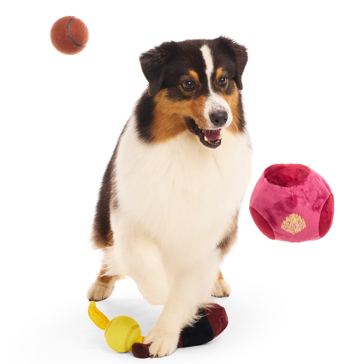 Quidditch™ Equipment Pack Plush Multi-Part + Tennis Ball Fetch Dog Toy - Image 2