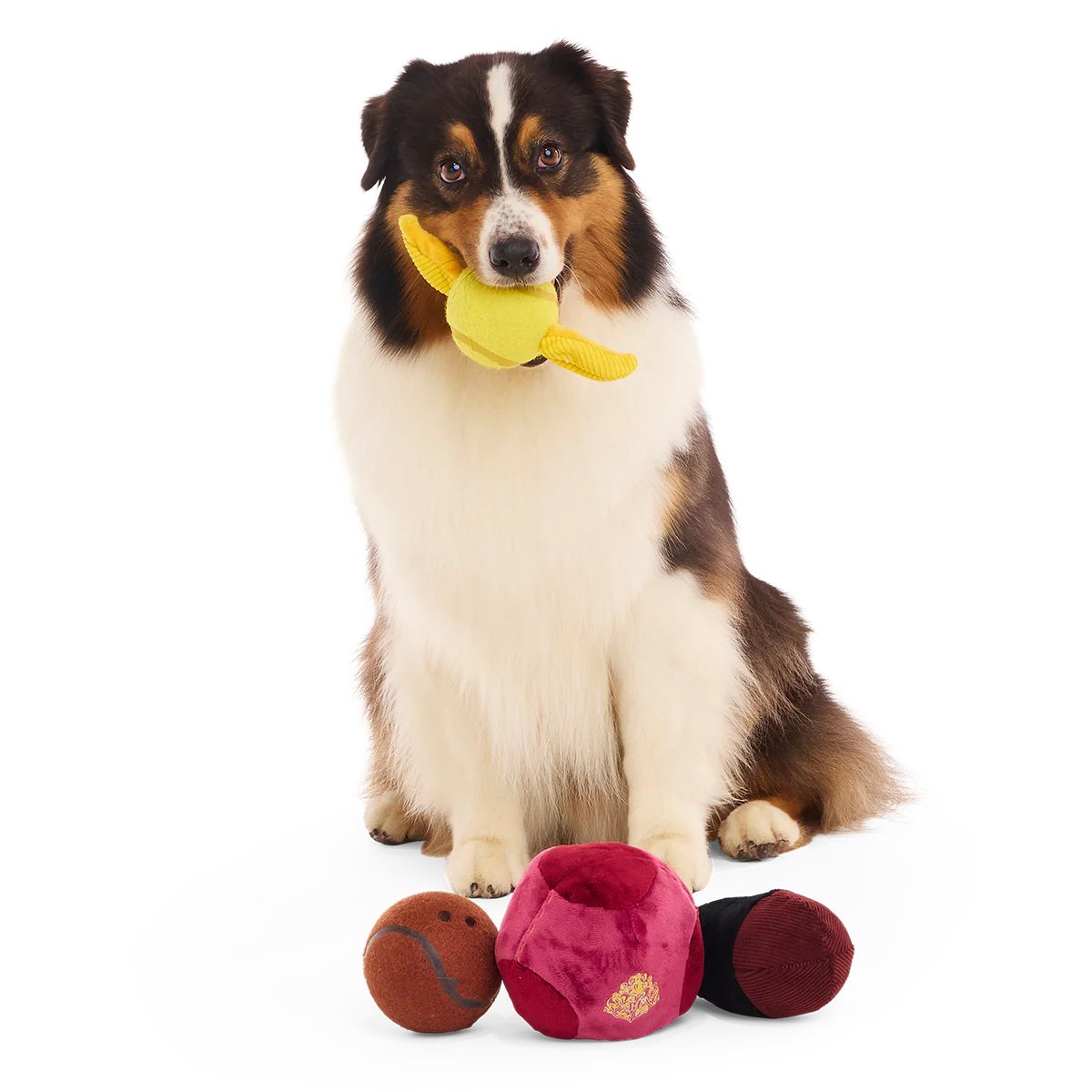 Quidditch™ Equipment Pack Plush Multi-Part + Tennis Ball Fetch Dog Toy - Image 3