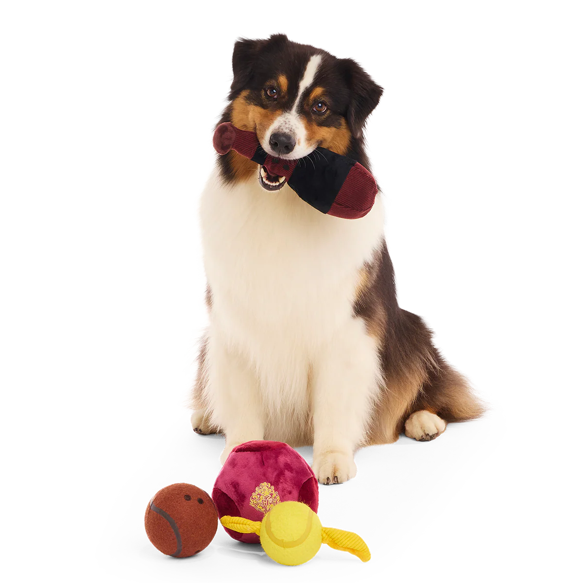 Quidditch™ Equipment Pack Plush Multi-Part + Tennis Ball Fetch Dog Toy - Image 4