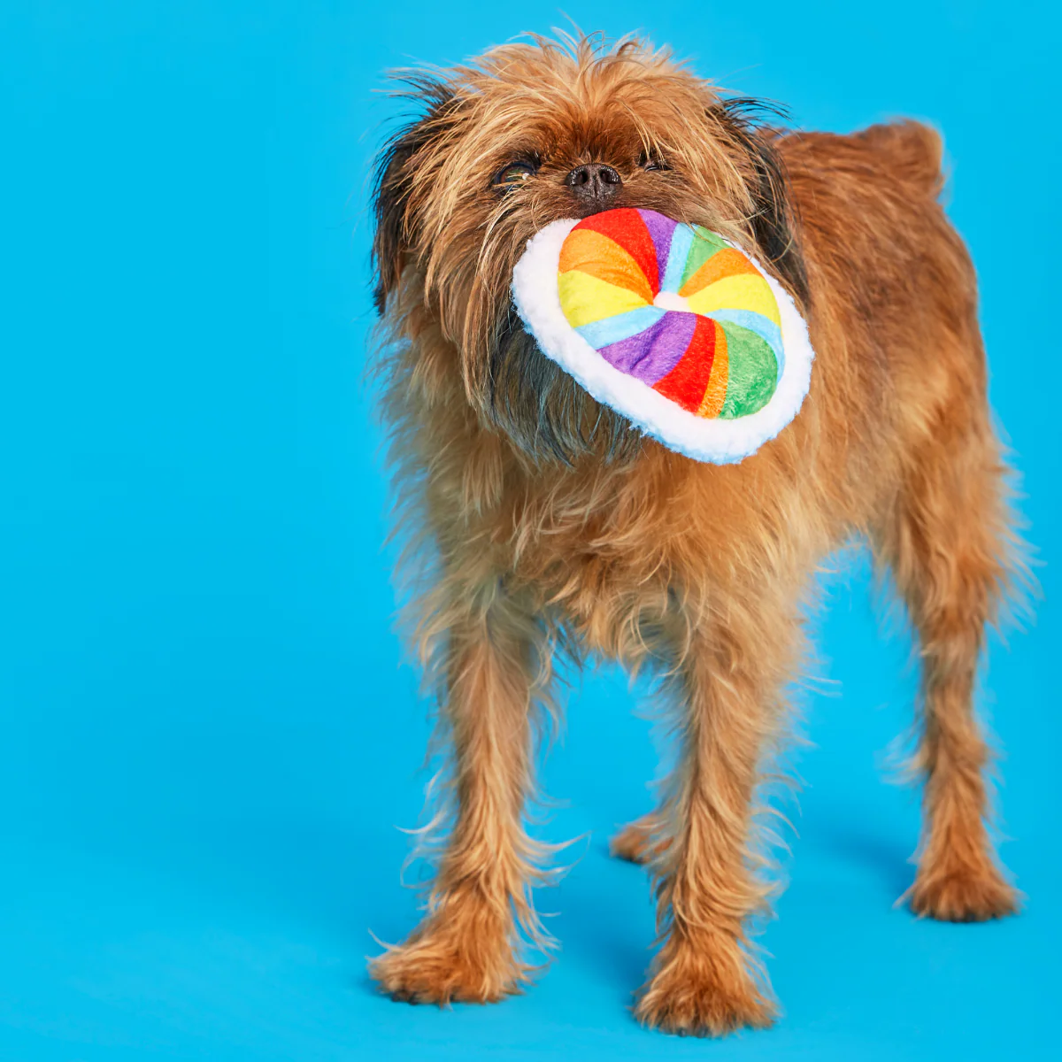 Rainbow-wow Bagel Plush Tug Dog Toy - Image 4