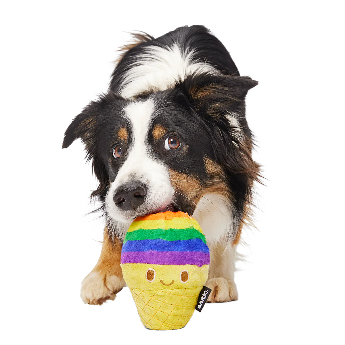Rainbow-wow Sherbert Super Chewer Durable 2-in-1 Dog Toy - Image 2