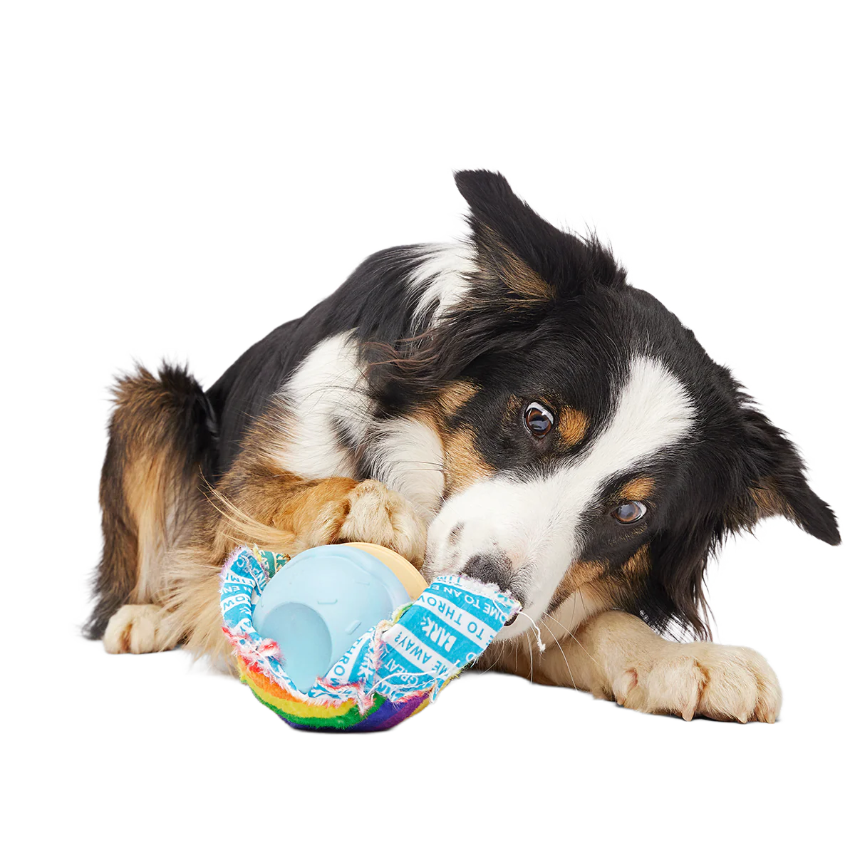 Rainbow-wow Sherbert Super Chewer Durable 2-in-1 Dog Toy - Image 4