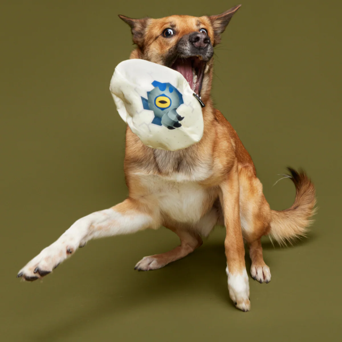 Raptor Hatchling Super Chewer Durable 2-in-1 + Fetch Dog Toy - Image 4