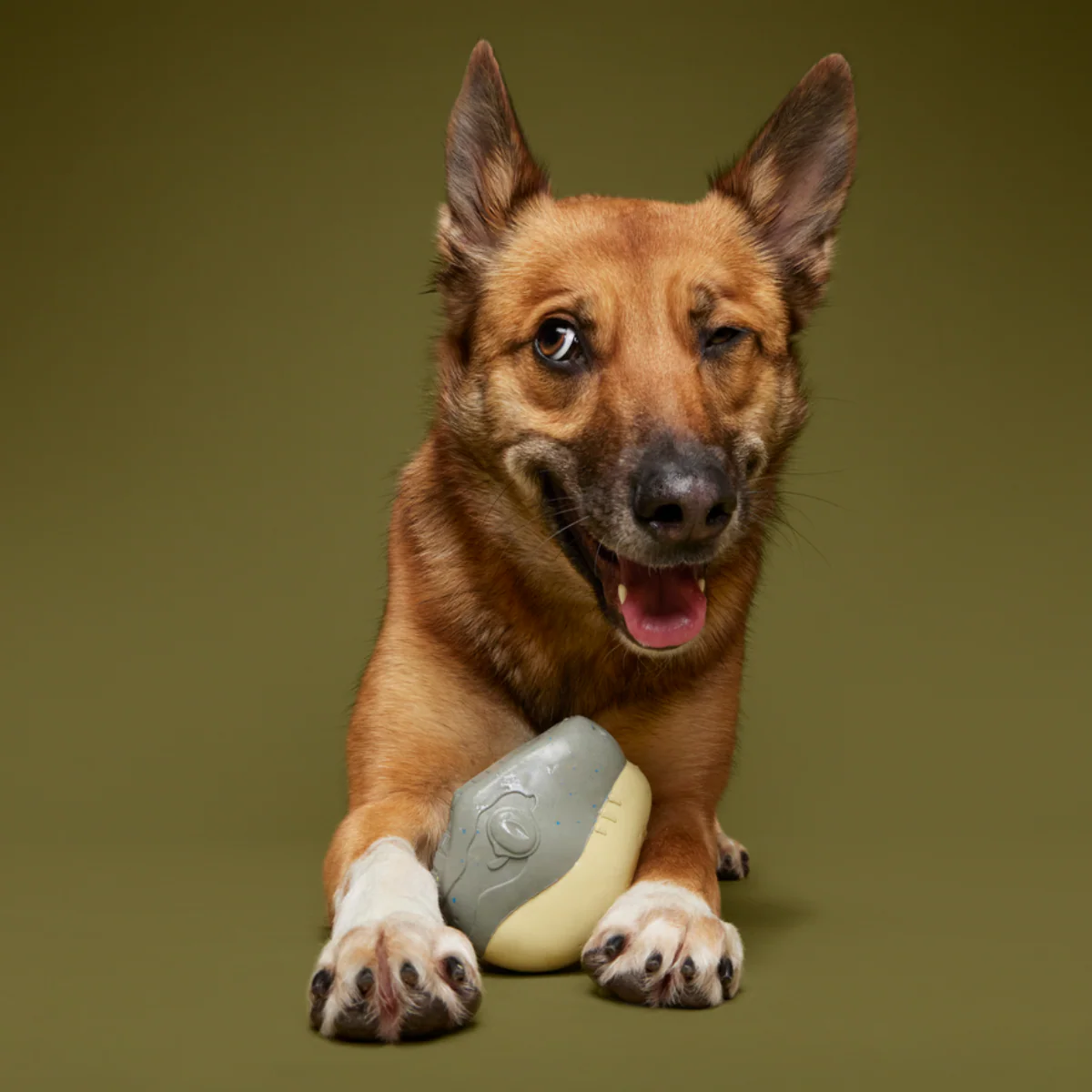 Raptor Hatchling Super Chewer Durable 2-in-1 + Fetch Dog Toy - Image 6