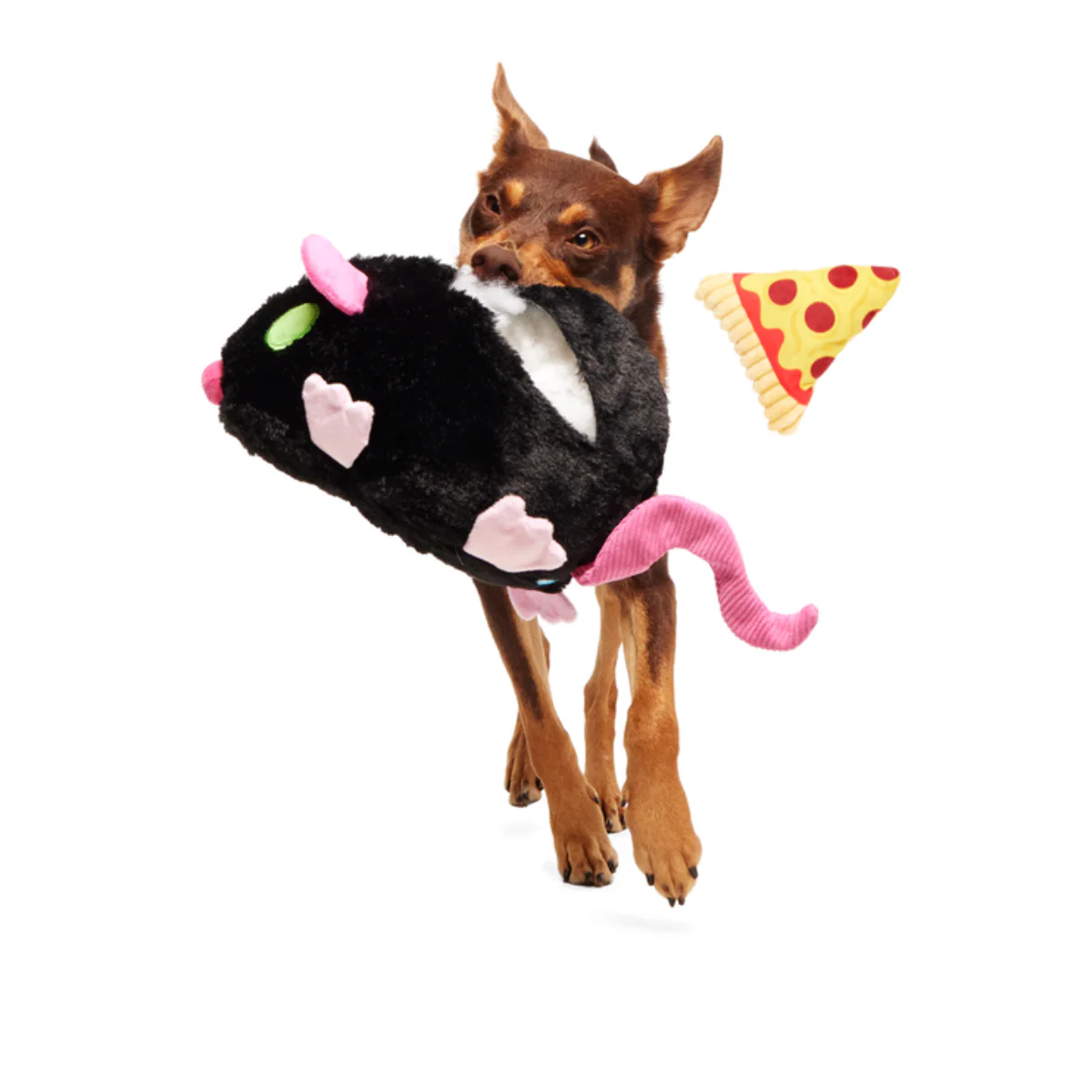 Rat-A-Chewy Plush Extra-Large + 2-in-1 Rip and Reveal Dog Toy - Image 4