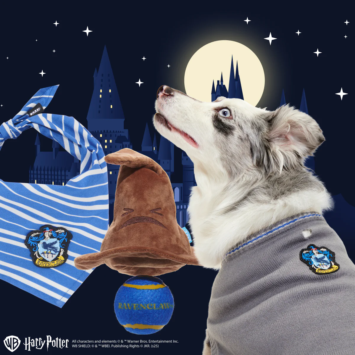 Ravenclaw™  Bundle - Image 3