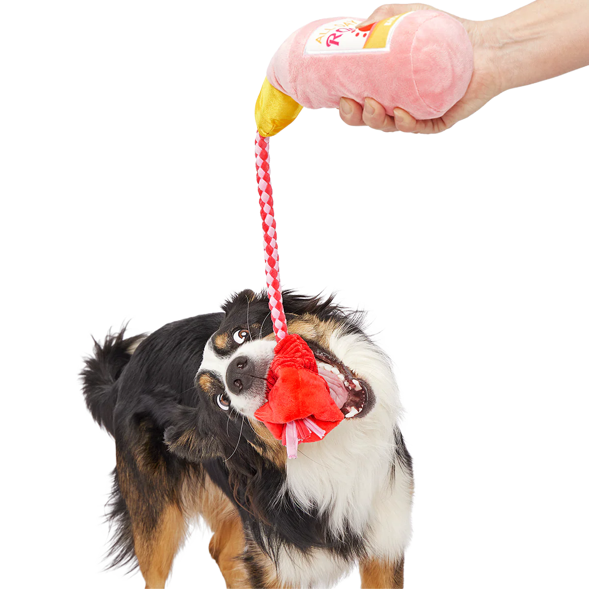 Red Cup Rosé Plush Tug Dog Toy - Image 3