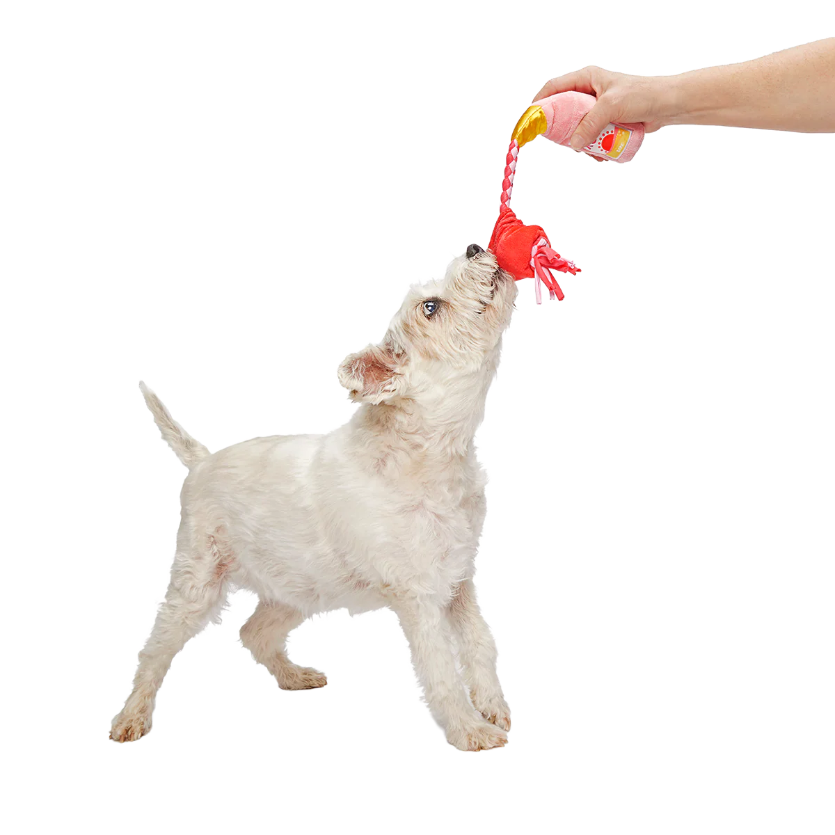 Red Cup Rosé Plush Tug Dog Toy - Image 5