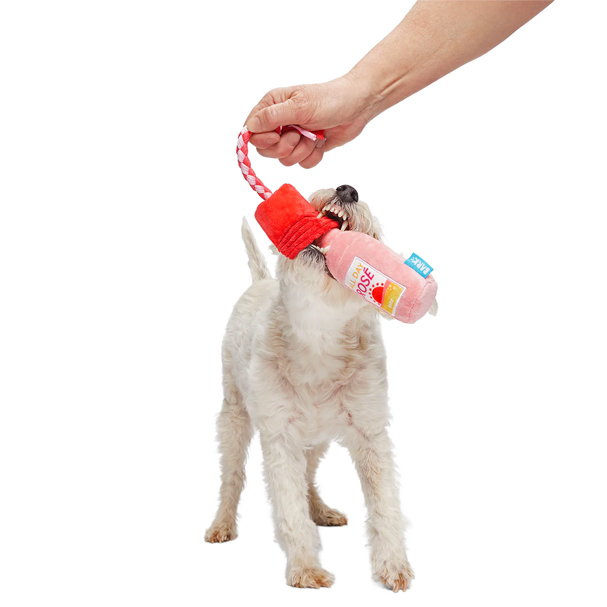 Red Cup Rosé Plush Tug Dog Toy - Image 6
