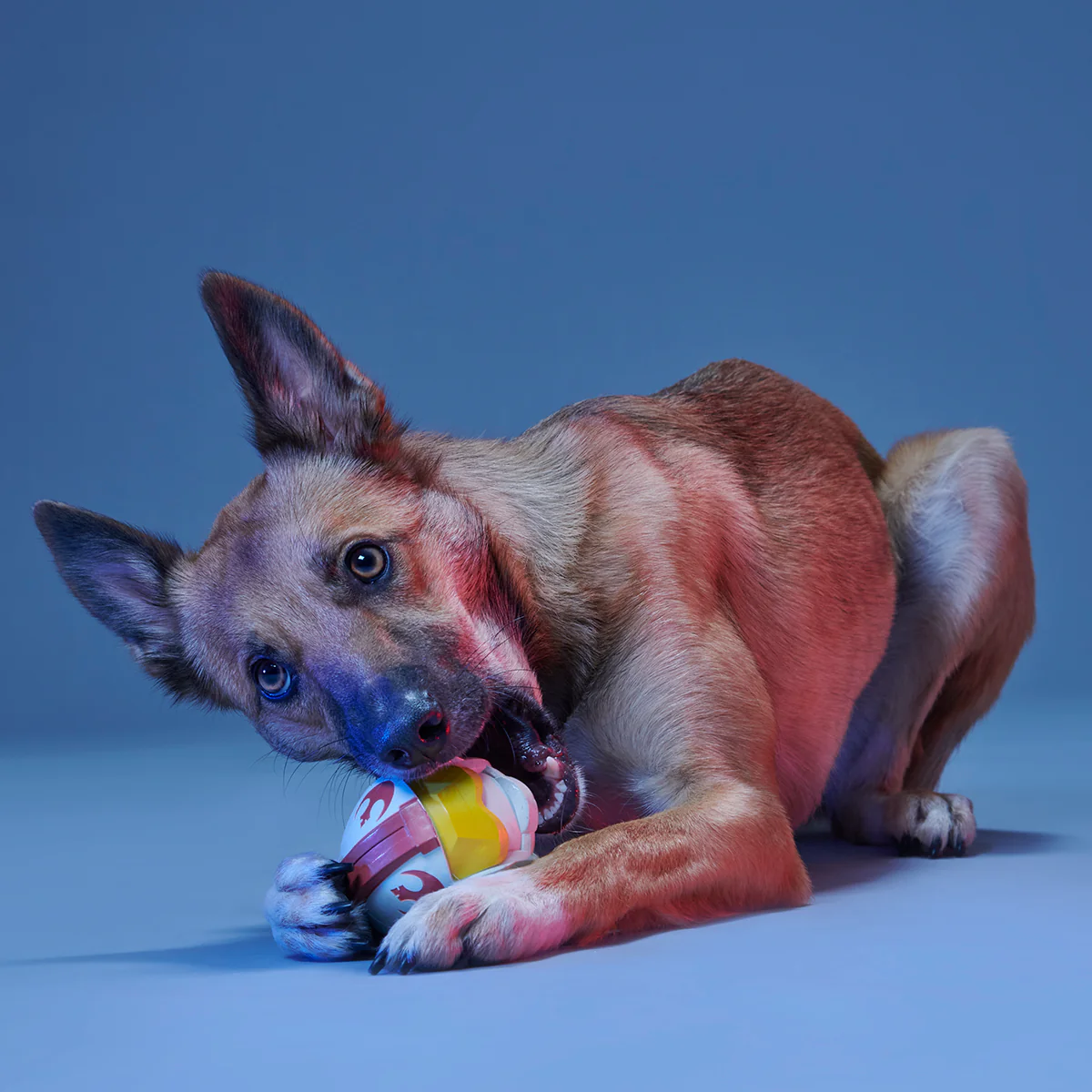 Fetch My Rebel Helmet Super Chewer Durable Fetch Dog Toy - Image 3