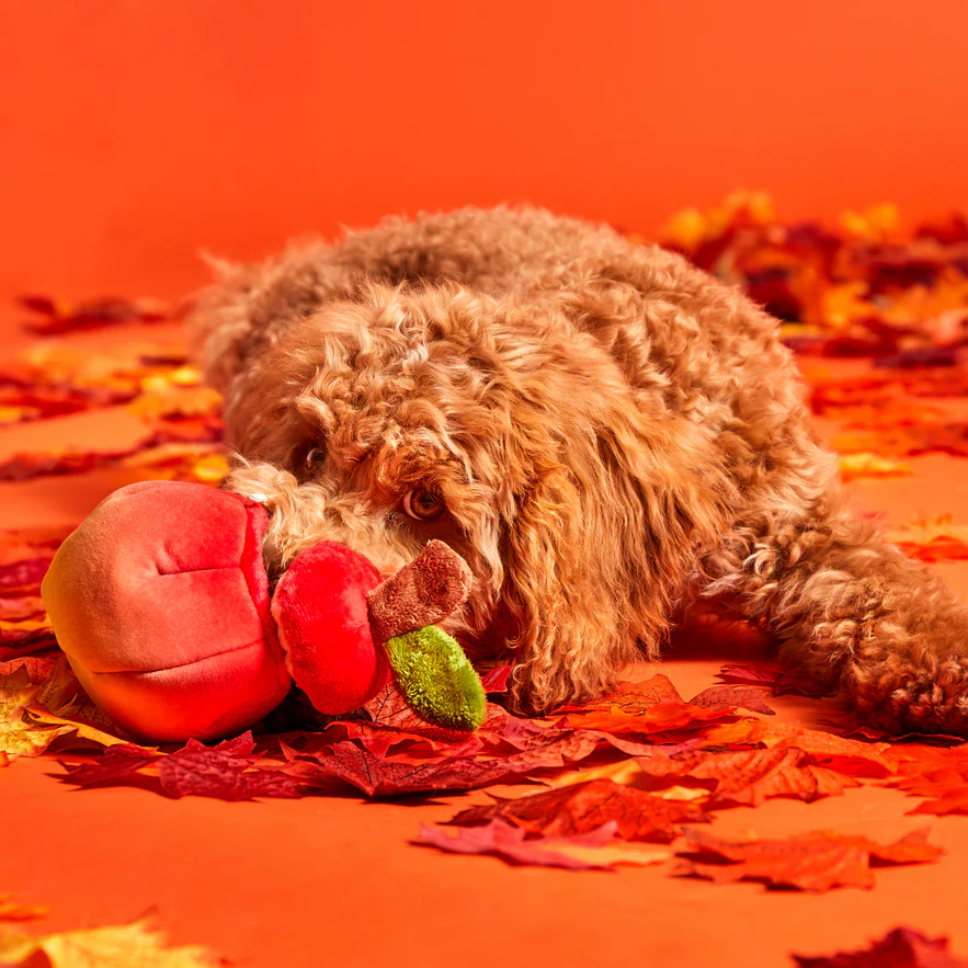 Red Malicious Plush Multi-Part + Enrichment Dog Toy - Image 4